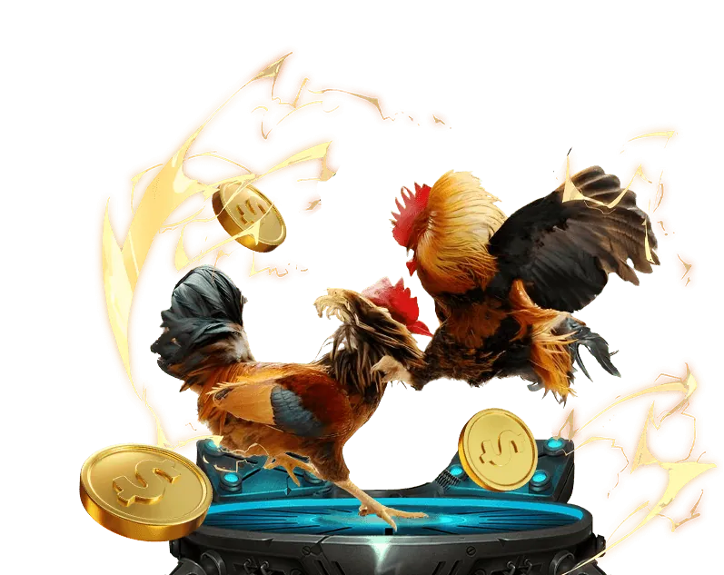 Khuyến mãi thành viên mới dk8 bet