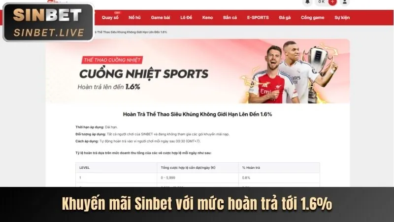 Cập nhật nền tảng